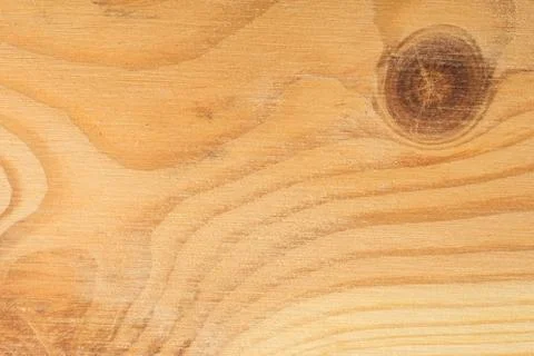 Pine tree texture. Wood background, light natural pattern Foto stock