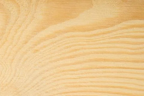 Pine tree texture. Wood background, light natural pattern Stock Photos