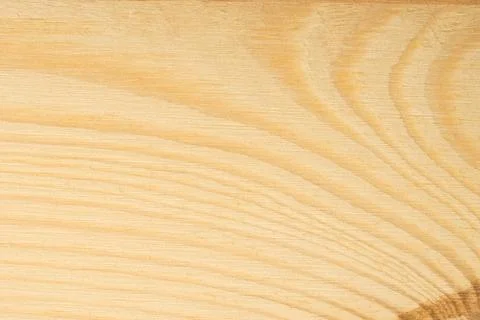 Pine tree texture. Wood background, light natural pattern Stock Photos