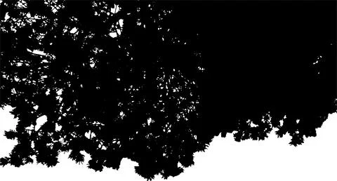 Pine tree top silhouette Stock Illustration