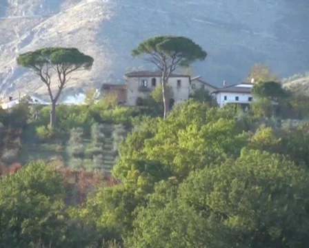 Pine tree typical house Видео 64207