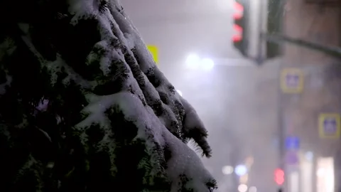 Pine tree under the snow at night. Against the background of blurred bright.. Stock Footage 321611947