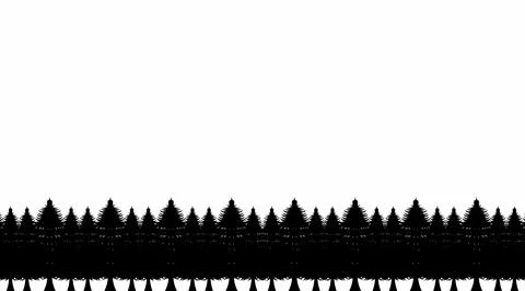 Pine Tree vector background illustration, black evergreen woods vector illu.. Stock Illustration
