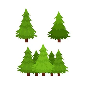 Pine tree vector illustration Stock Illustration