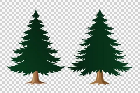 Pine tree vector, pine tree isolated, pine tree icon, christmas tree set 스톡 일러스트