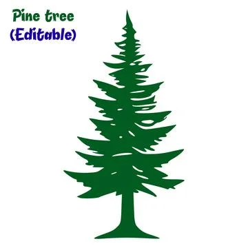 Pine tree vector. stylized dark green pine tree illustration on a white backgrou Illustrazione stock