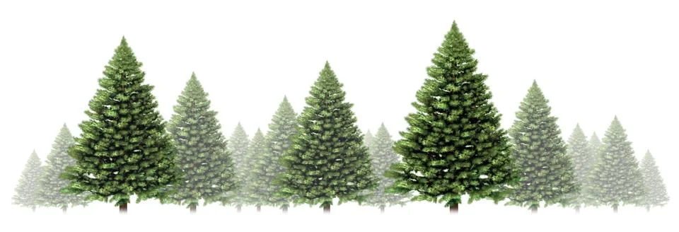 Pine tree winter border 스톡 일러스트