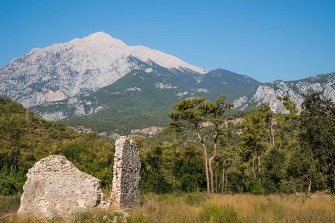 Pine trees against the backdrop of Mount Olympos. Tahtali. Kemer. Turkiye. 写真素材