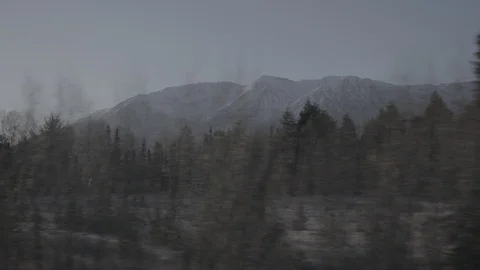 Pine trees along the road and snow clad mountains at distance Stock Footage 104527315