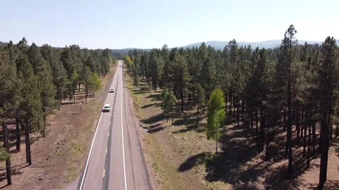 Pine Trees Along The Road with Traffic Payson Arizona Aerial Drone 스톡 동영상 140833855
