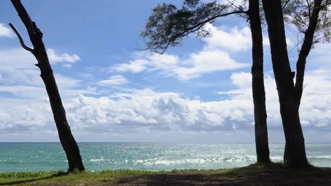 Pine trees along the sea with bright green sea and beautiful sky Phuket beach Stock-Footage 78704784