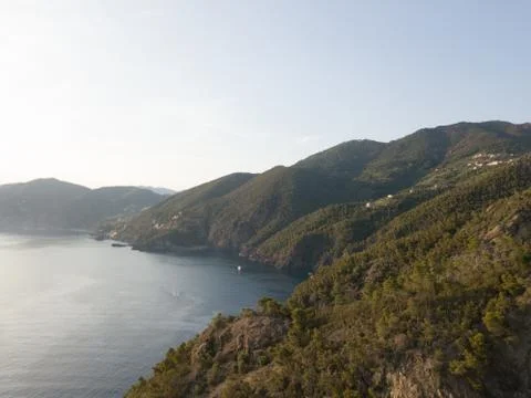 Pine trees and aerial view of cinque terre Stock Photos
