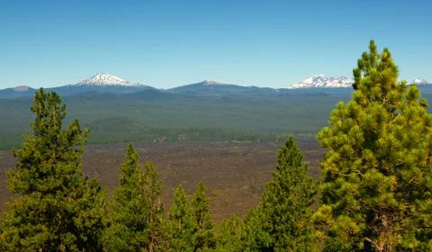 Pine trees and cascades Stock Photos