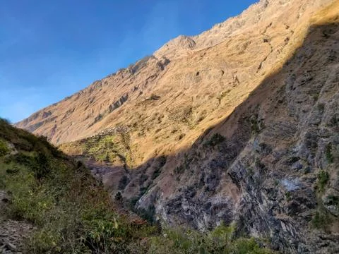 Pine trees and forest in the hilly region of Nepal Stock Photos