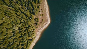 Pine trees and lake from above 動画素材 85553238