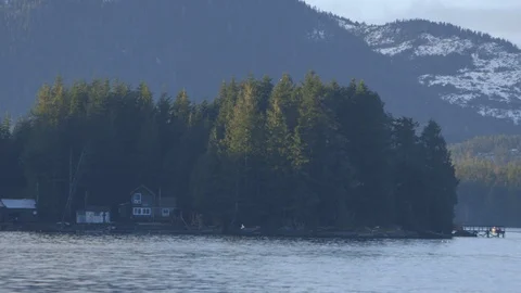 Pine trees and landscape in Ketchican Alaska Stock Footage 104868565