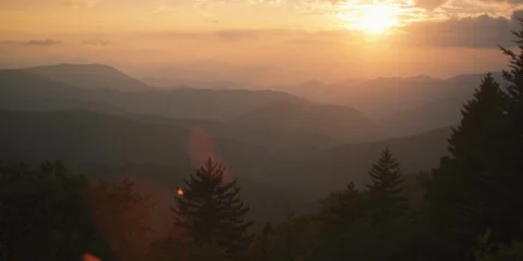 Pine trees and mountain ranges at beautiful sunset Stock Footage 103398106