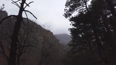 Pine Trees and Mountain Valley Before Storm Vídeo Stock 332136852
