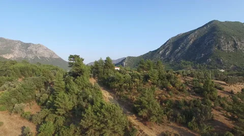Pine Trees and Mountains. 4K Video Captured With Drone Cam Stock Footage 67358158
