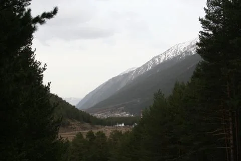 Pine trees and mountains with snow-capped peaks	 Stock Photos