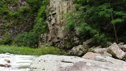 Pine trees and nature that sit proudly on the cliff of the Salt River, Korea_3 Stock Footage 280179355