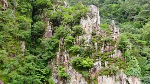 Pine trees and nature that sit proudly on the cliff of the Salt River,Korea_1 Stock Footage 280179360