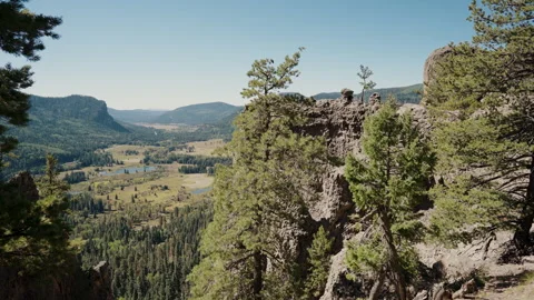 Pine trees and rock cliffs above mountain valley Stock Footage 348024575