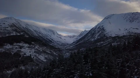Pine trees and rocky mountains covered with snow Stock Footage 104529414