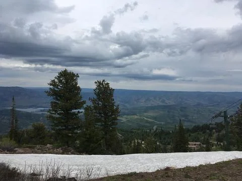 Pine trees and snow looking into a valley Stock Photos