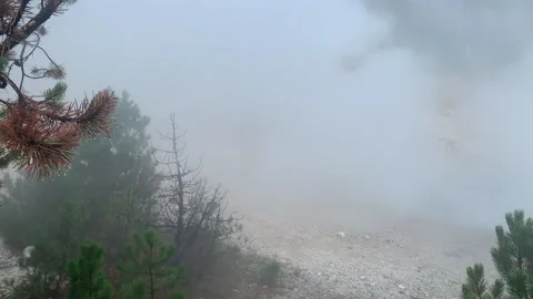 Pine Trees and Steam 02 HD Stock Footage 179082840