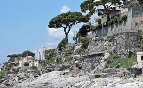 Pine trees and stone building on the seashore. Nature and structures of Europe Stock Photos