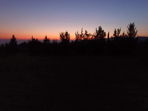 Pine trees and sunset 1 Stock Footage 82585588