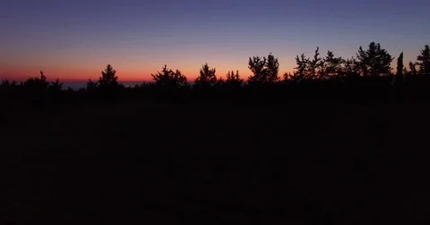 Pine trees and sunset 2 Vídeos de archivo 82594489