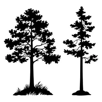 Pine Trees Black Silhouette Stock Illustration