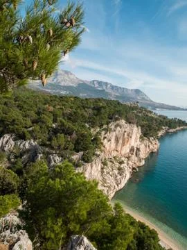 Pine trees on cliff over hidden beach and calm blue sea Stock Photos