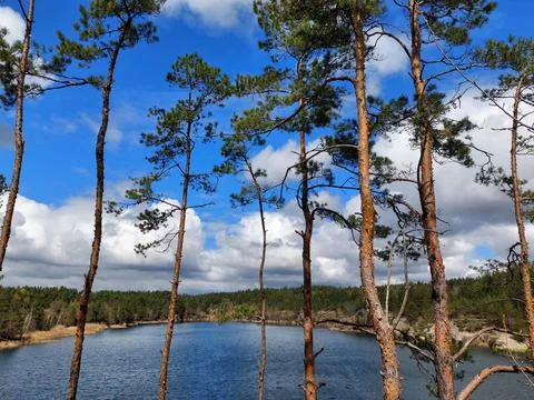 Pine trees on a cliff overlooking a blue lake under a cloudy sky Stock Photos