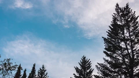 Pine trees with clouds rolling time lapse in Rocky Mountain National Park Stock Footage 135266832
