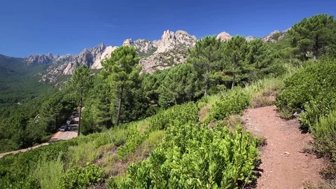 Pine trees in Col de Bavella mountains near Zonza town, Corsica island, France, Stock-Footage 73850269