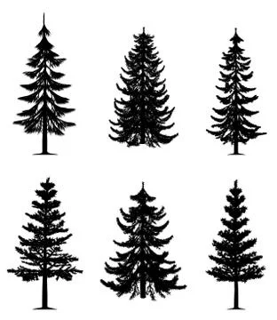 Pine trees collection Stock Illustration