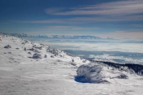 Pine trees covered by thick snow on Babia hora peak Slovakia Stock Photos
