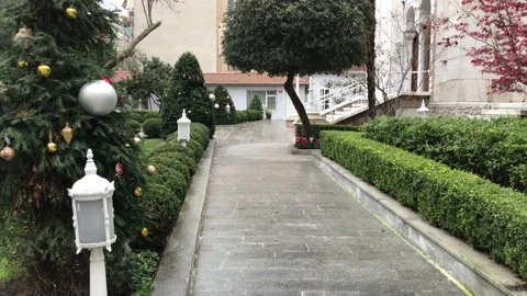 Pine trees decorated with Christmas decorations Stock Footage 145222688