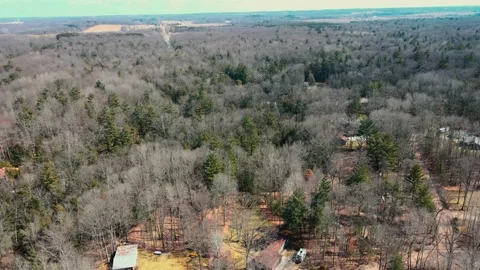Pine Trees dotting the landscape of Mid Michigan Video stock 237510784