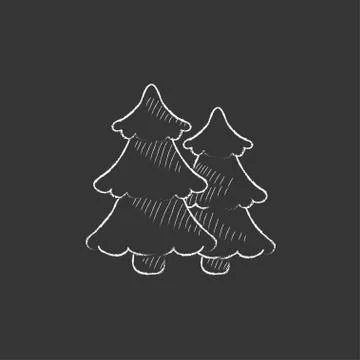 Pine trees. Drawn in chalk icon Stock Illustration