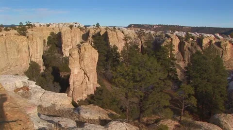 Pine trees to El Morro Monument Stock Footage 60588400