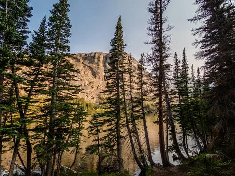 Pine trees in the foreground of an alpine lake in the Rocky Mountains with a  Stock Photos