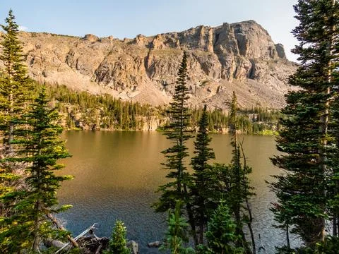 Pine trees in the foreground of an alpine lake in the Rocky Mountains with a  Stock Photos