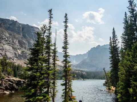 Pine trees in foreground of a nature scene with clouds reflecting on a lake i Foto stock
