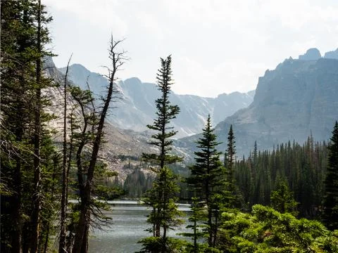 Pine trees in foreground of a nature scene with clouds reflecting on a lake i Foto stock
