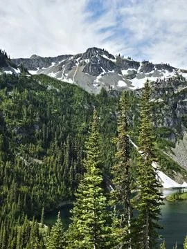 Pine trees in the foreground with a snow-capped mountain peak and alpine lake Stockfoto's