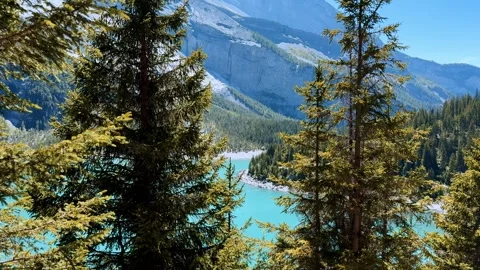 Pine trees forest view, hiking trail, mountain peaks background, tourism, travel Stock Footage 345682760